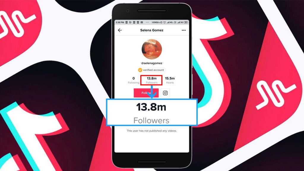 Are Fake or Low-Quality Tiktok followers Worth the Investment? post thumbnail image