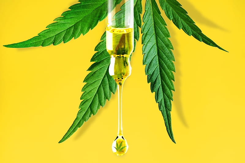 What Science Says: Looking at Clinical Trials and Studies Around Using CBD Oils for Anxiety Relief post thumbnail image