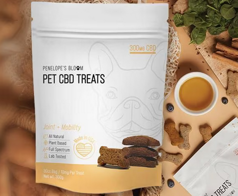 The Benefits of CBD Dog Treats for Aggressive Behaviors post thumbnail image